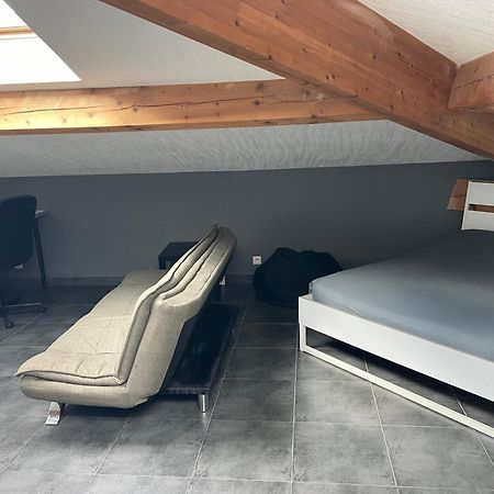 Studio7 Proche Fac Climatise Albi Exterior photo